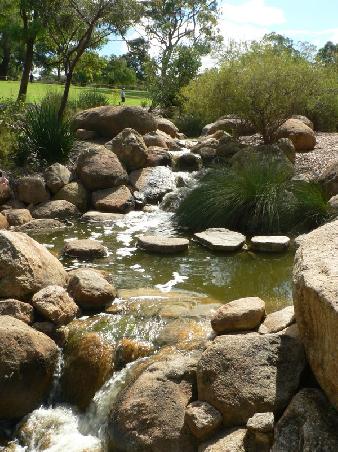 kleiner Fluss im Kings Park