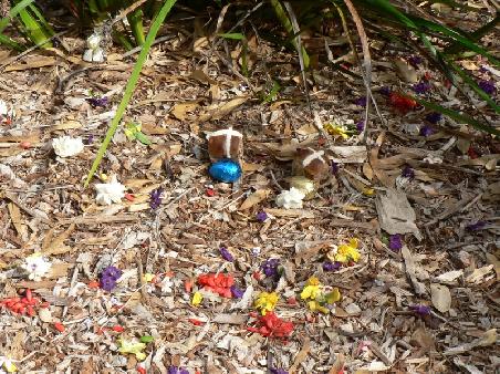 Ostern im Kings Park