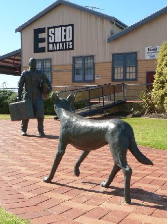 E-Shed Markets