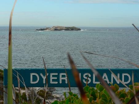 Dyer Island