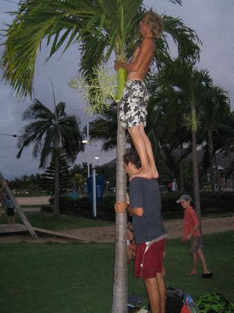 Fussball auf der Palme