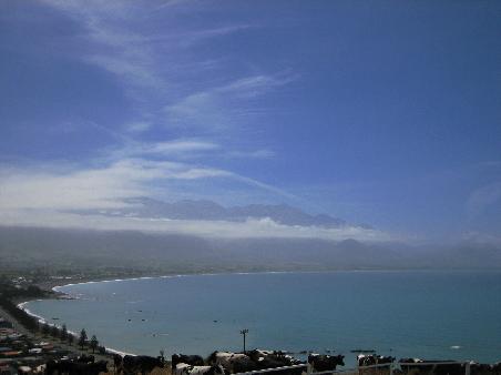 Aussicht vom Berg nahe Kaikoura