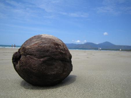 Strand von Port Douglas