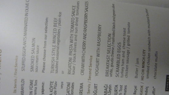 Ich fliege mit Turkish Airlines. Dies ist mein erster Flug mit dieser Airline. WObei ich bin bisher eh erst 2 mal gelogen damals nach und von Ibiza.
Ich bin schon sehr aufgeregt und hoffe es wird halbwegs so wie ich es mir erhoffe.
Ich fliege von Frankfurt über Istanbul nach Bangkok. 
Geplante Zeiten: Abflug: 17.55 mit  einer BOEING 737-800  und Ankunft Istanbul um 21.50 Uhr.
Dann weiter um 23.40 mit einer BOEING 777-300ER  Ankunft um 13.40 Uhr.
