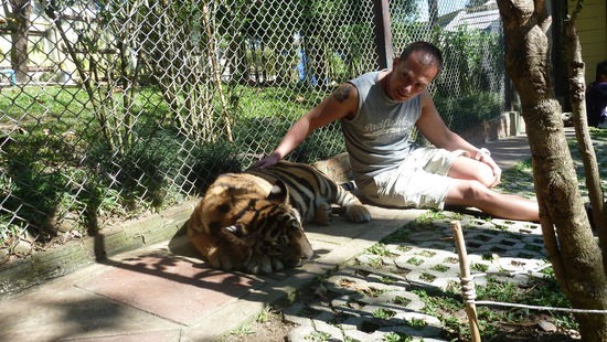 Man hat echt Respekt selbst vor den Kleinen
