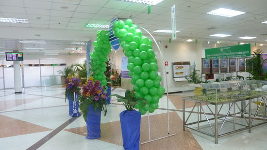 was auch immer das sein sollte.. Flughafen Chiang Mai.