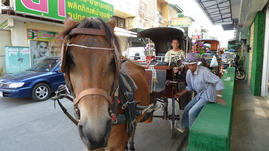 Pferdekutsche. echt schöne Alternative. sollte man machen.