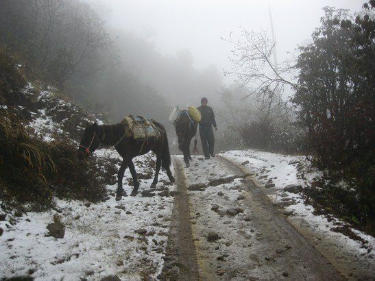 Wetterkapriolen II: Schnee.