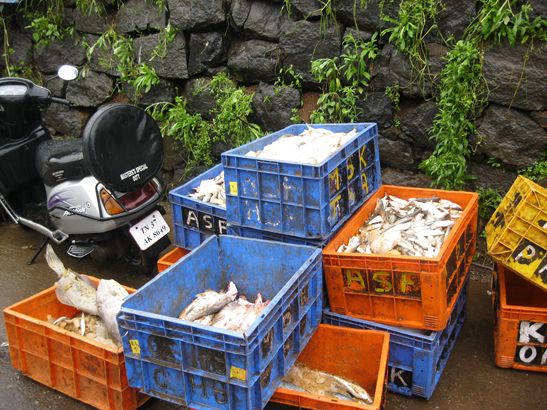 Auch Fisch wird verkauft.