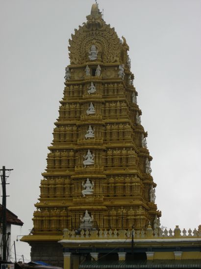Natürlich finden sich in Mysore und Umgebung...