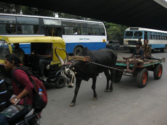 Verkehr in Bangalore.