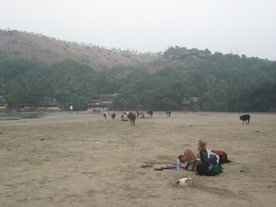 Gokarna. Den Strand erreicht. 2 Stunden geschlafen. Siehe da: Die Kühe kommen.