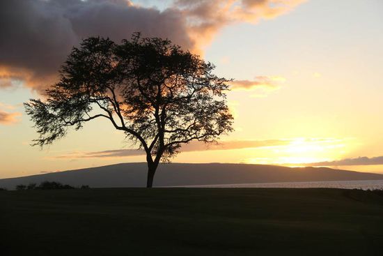 Sonnenuntergang vom Golfplatz aus.