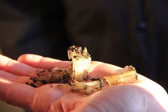 Eis aus dem Vulkan!! Soooo a...kalt war das!!!! Beweis!!