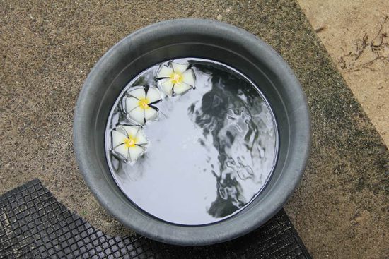selbst zum Füsse abspülen gibt es Blüten ins Wasser...
