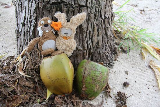 Hermann und Trude... Trude trägt die Blume rechts, da sie ja verheiratet ist! 