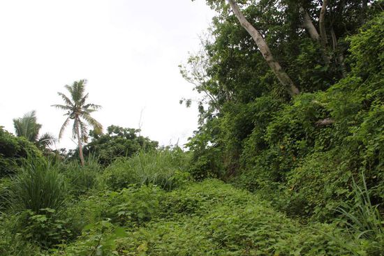 Der Weg... kaum wirklich als dieser zu erkennen...