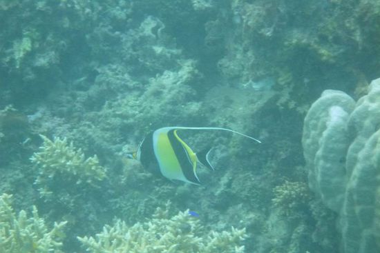 ein besonders hübscher