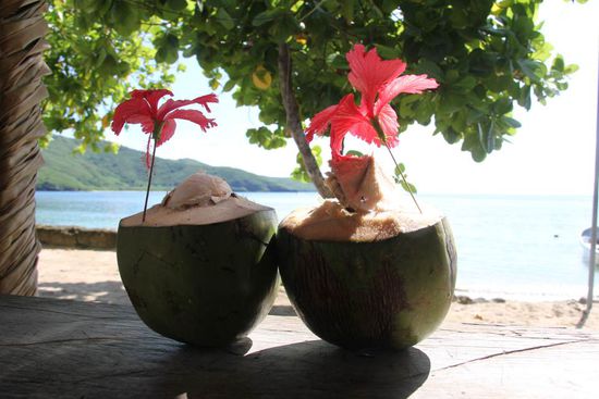 Coconuts