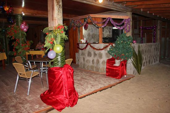 sogar mit Tannenbaum! 