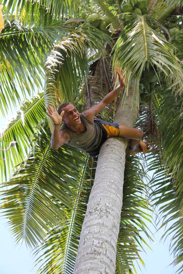... um dann kopfüber wieder runter zu klettern...