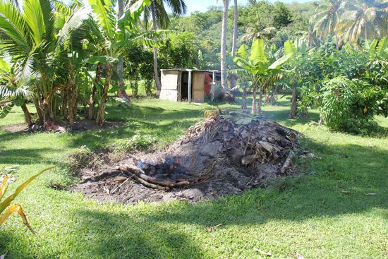 eingebuddeltes Essen...