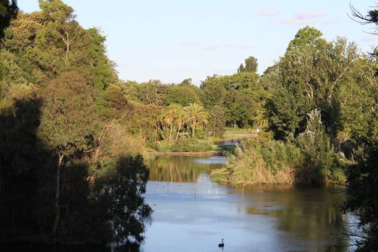 ein See im Botanischen Garten