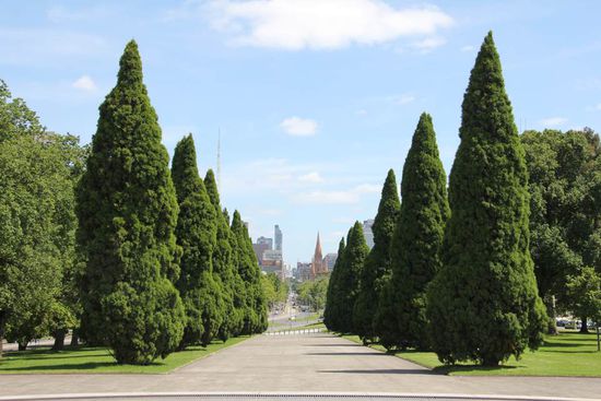 Ceremonial Avenue