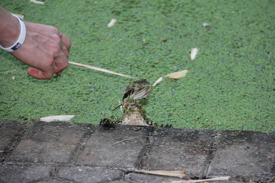 jeder braucht so seine Streicheleinheiten! 