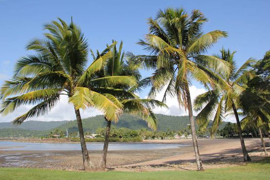 Airlie Beach