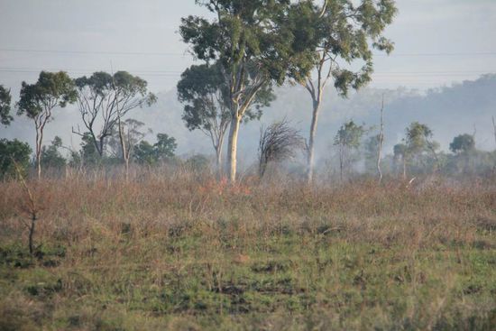 da sieht man kleine Flammen...