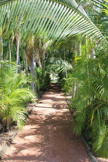 Der Weg, quasi zu den Sanitäranlagen, nett oder?