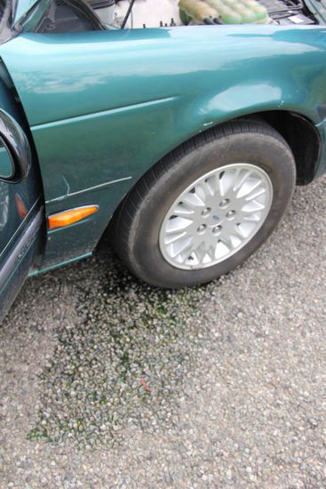 Kühler entleert sich mal wieder...