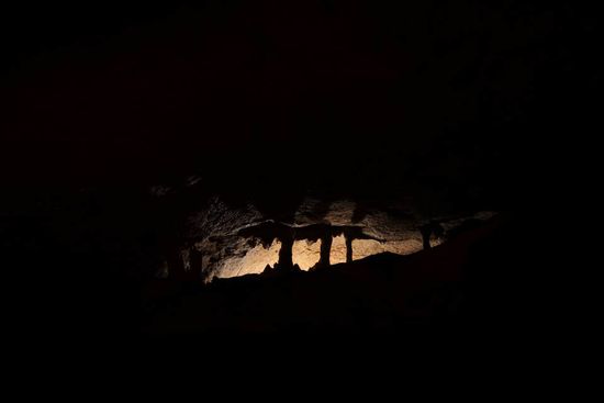 Steine, die beleuchtet aussehen wie Palmen