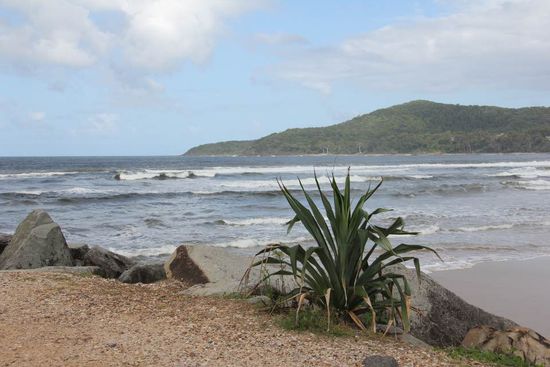 Noosa Beach