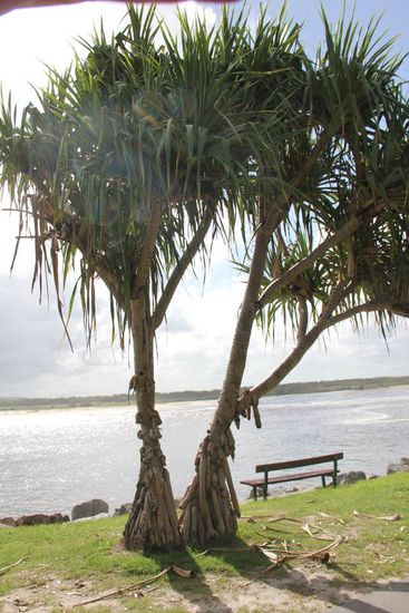 sehen ja schon ein wenig urig aus...