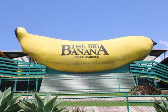 Big Banana