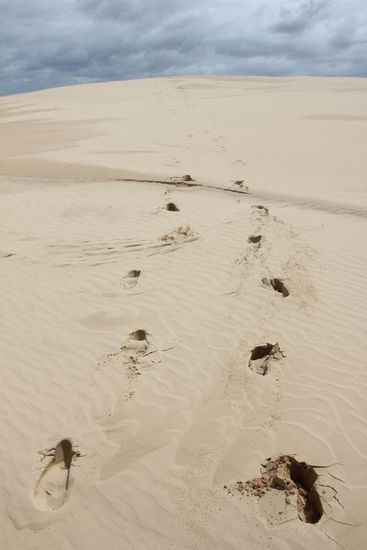 Spuren in den Dünen...