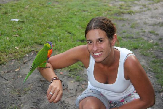 Ein "zahmer" Lorikeet