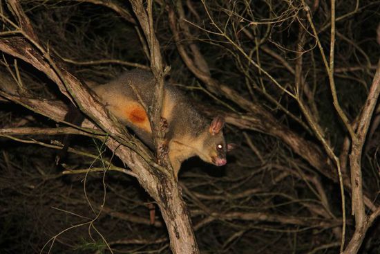 ... und noch eins...