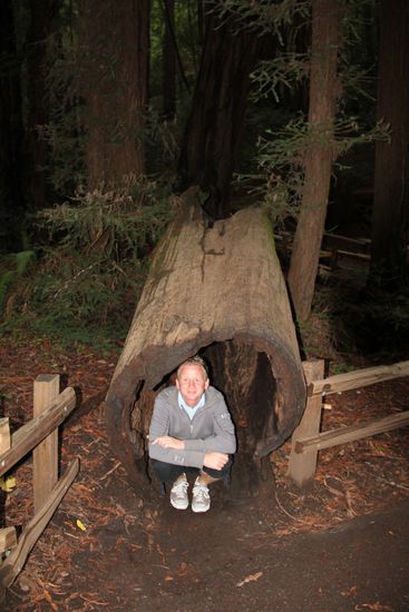 Marc in einem Mammutbaum, da bekommt Baumhöhle eine ganz neue Bedeutung 