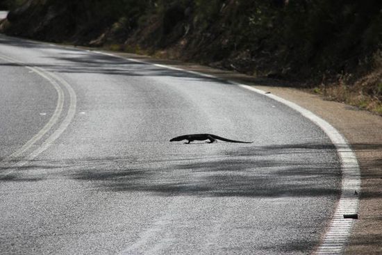 sooo klein wie er da wirkt, war er nicht, er war weit weg!!!! 