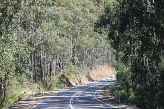 ... dann eine rechts Kurve...