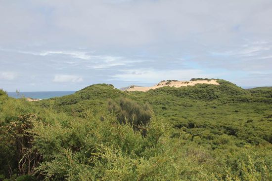 unterwegs im Wilson Promontory Nationalpark
