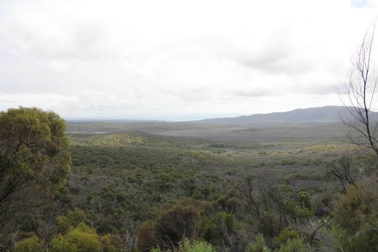 schön mit den Bergen...