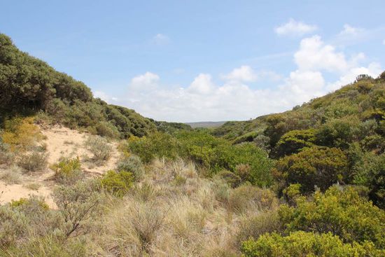 hinter dem Strand...