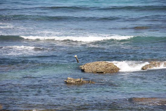 hier sieht man den Mast (mit der weißen Kugel oben drauf) und in der Mitte einen Teil der Rolle.