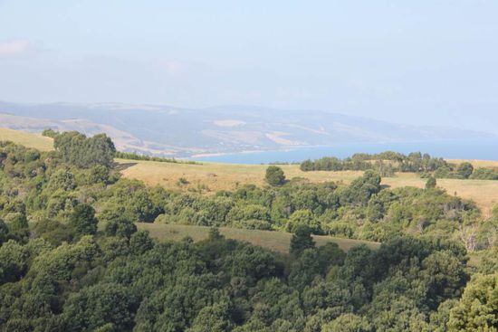 die Great Ocean Road, mit Ocean etwas weiter hinten...