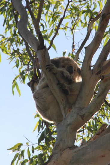 ob das so bequem ist?!