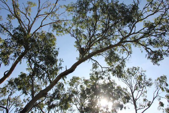 sie sind nicht immer sofort zu sehen...